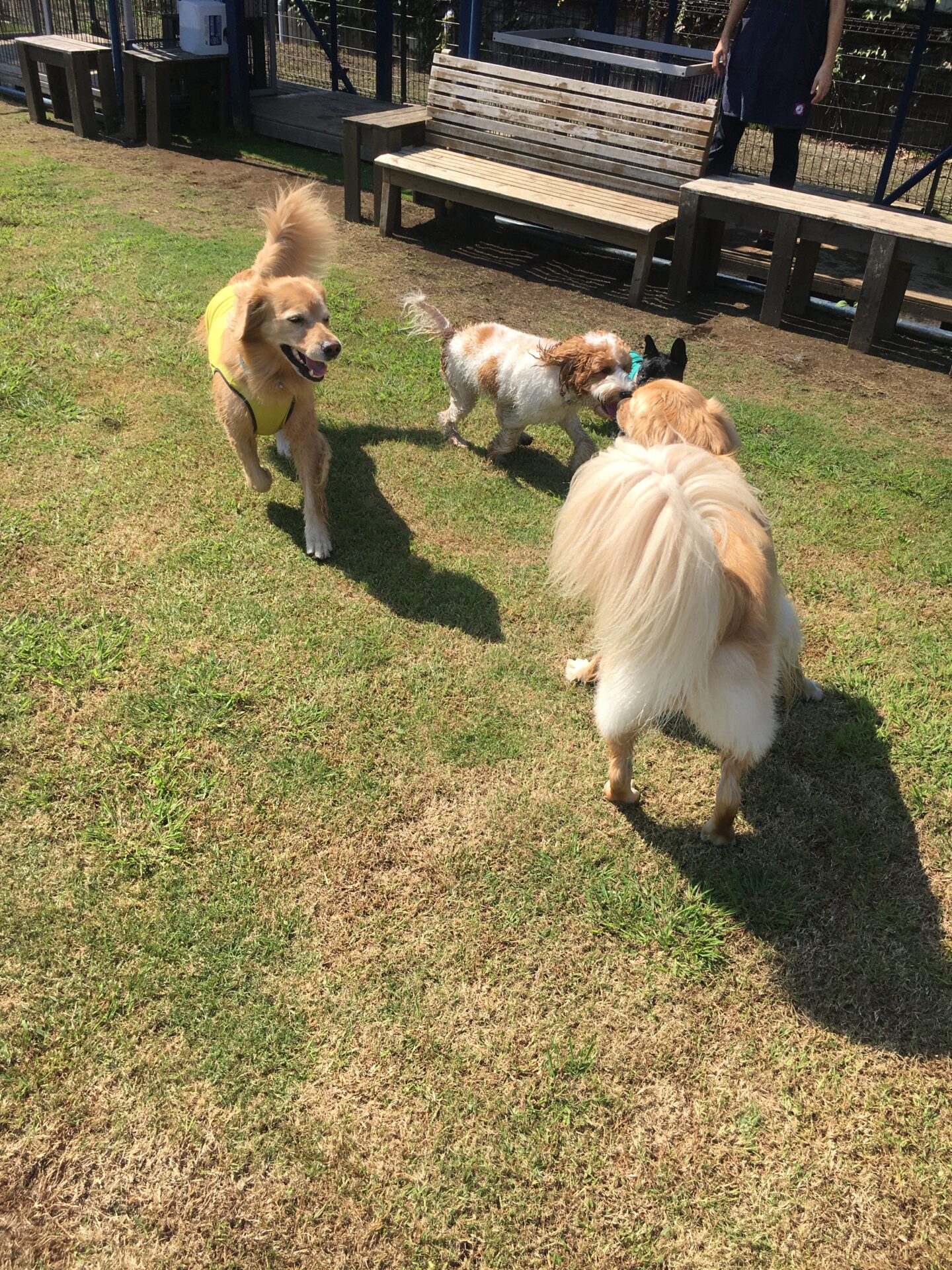 ファイル 8641-3.jpeg