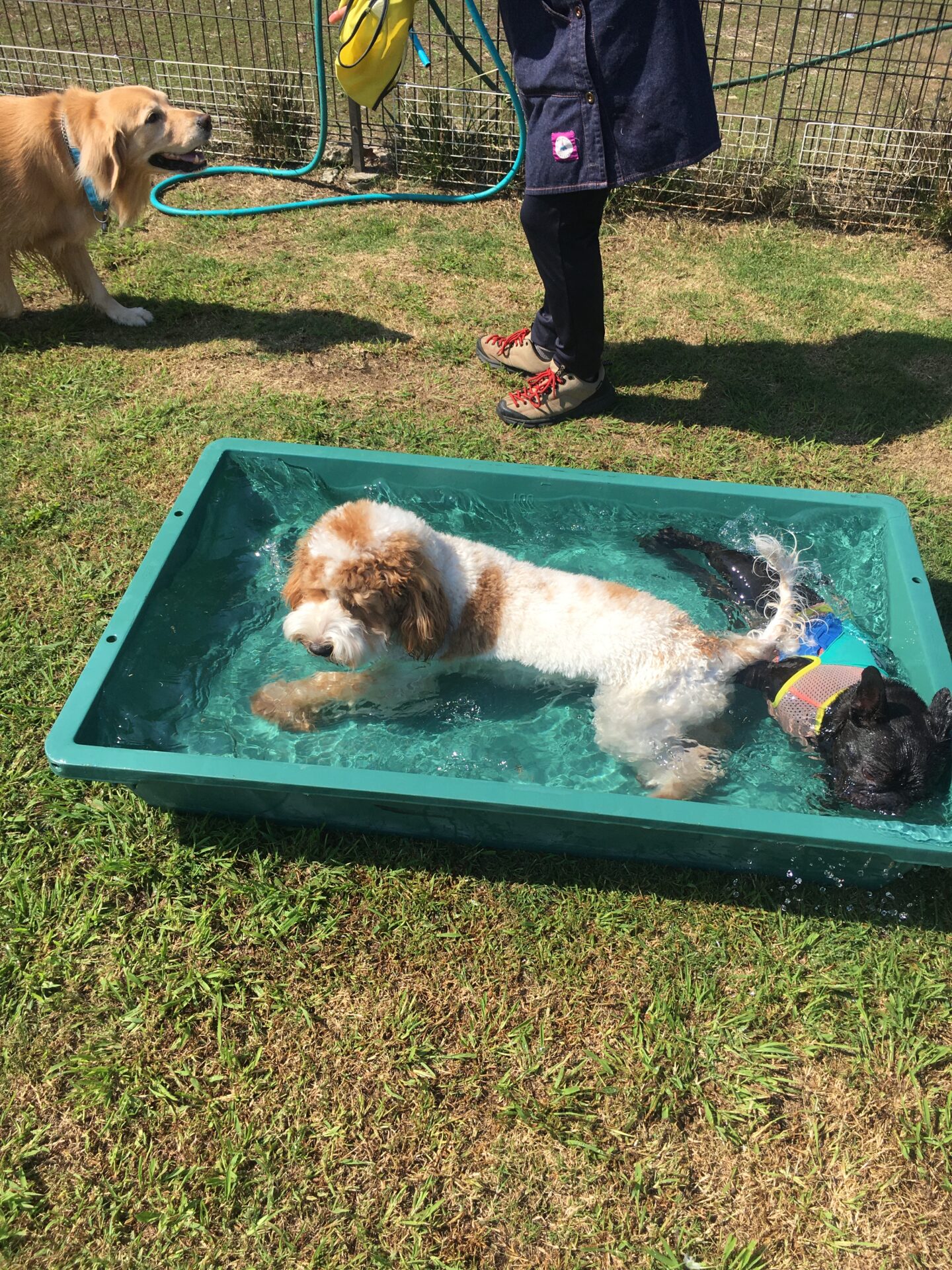 ファイル 8641-5.jpeg