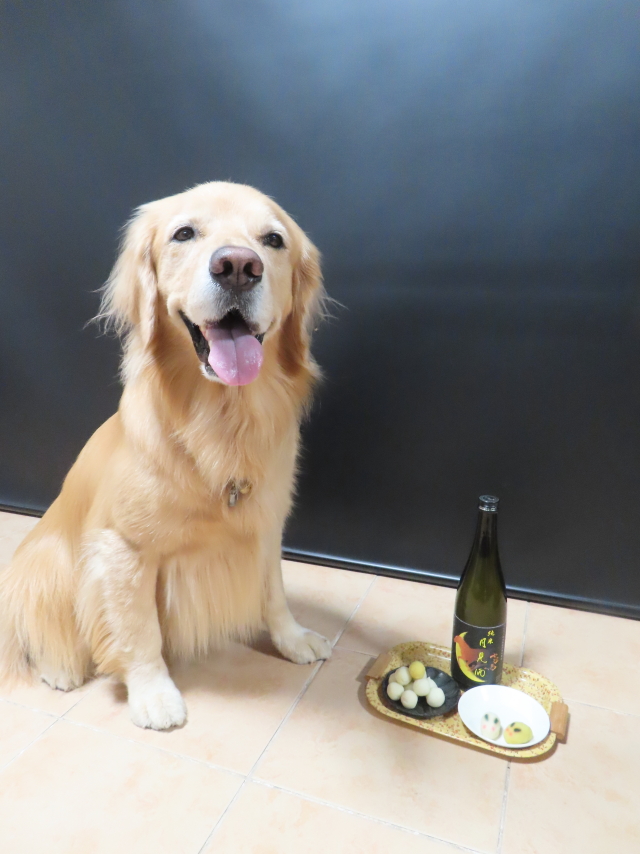 ファイル 8642-5.jpg