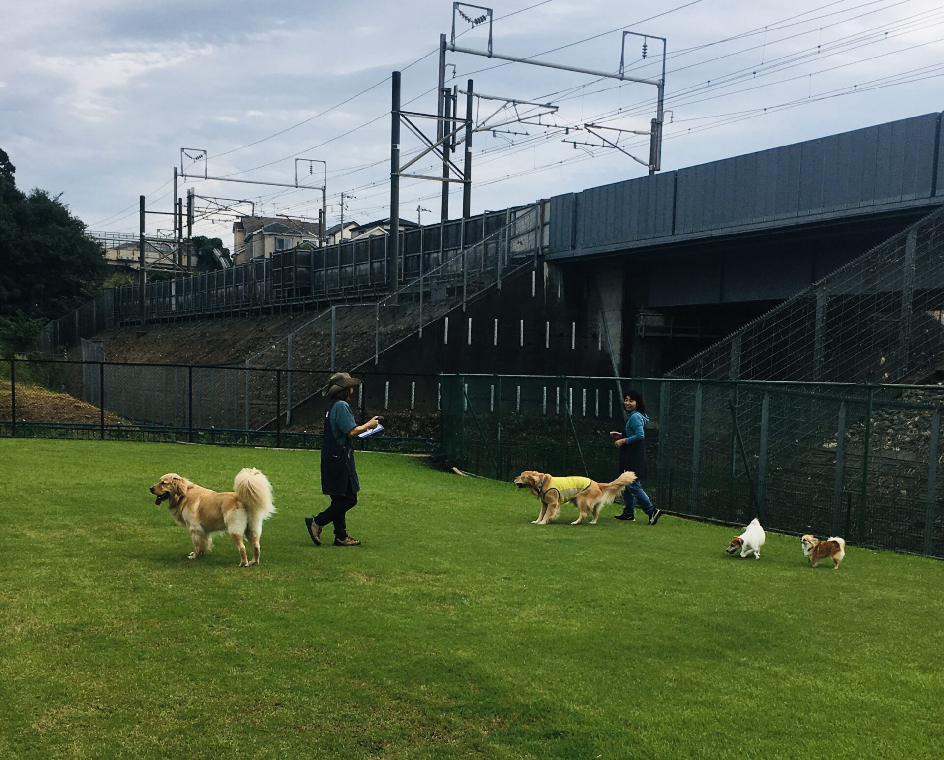 ファイル 8645-1.jpeg