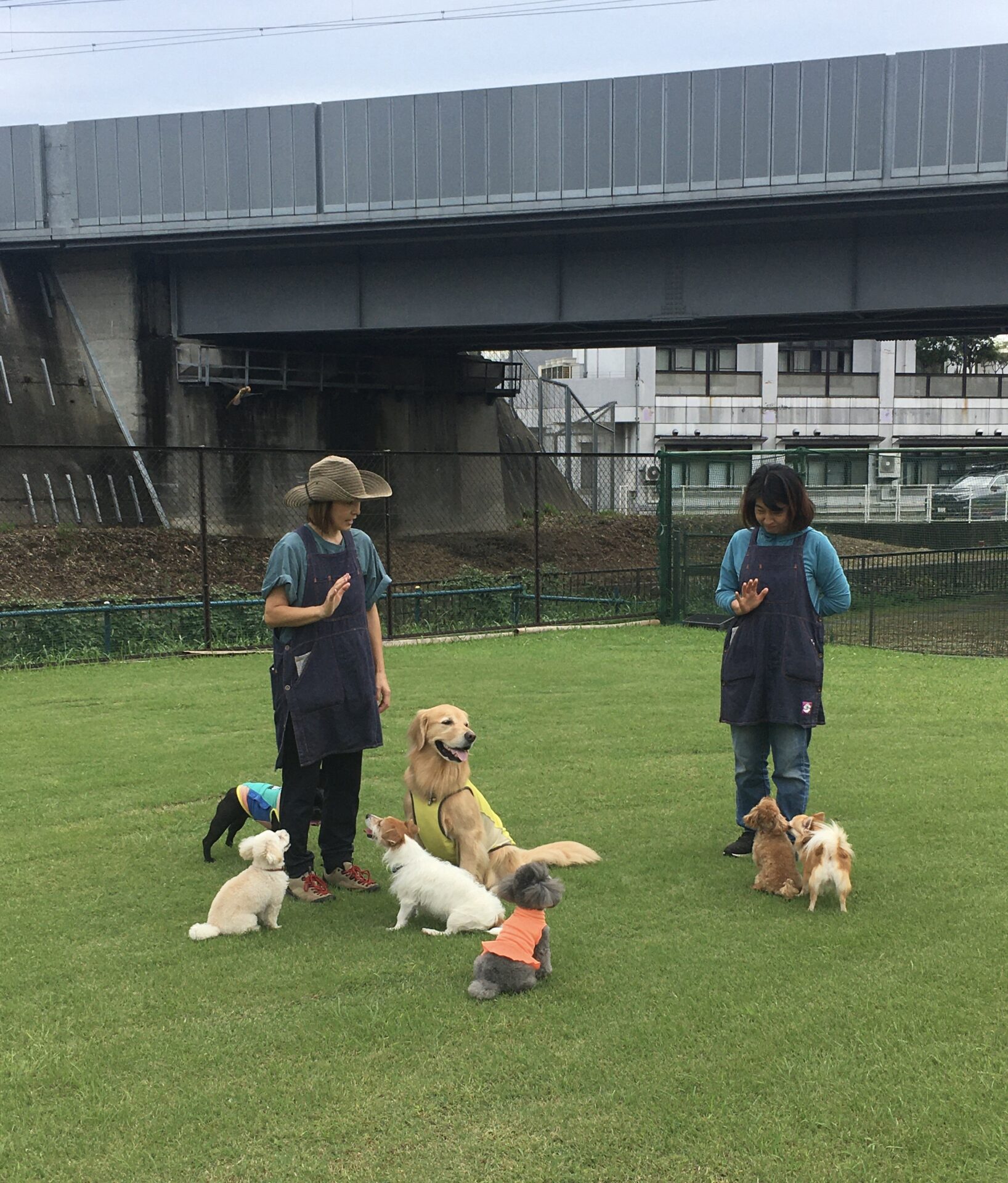 ファイル 8645-2.jpeg