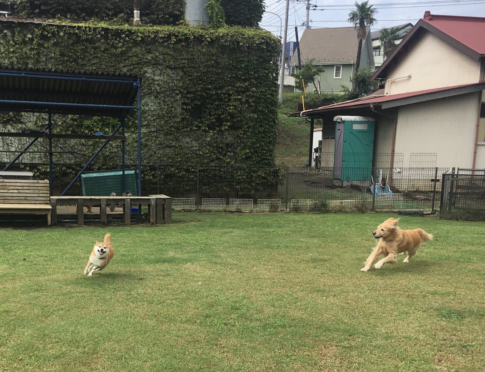 ファイル 8645-3.jpeg