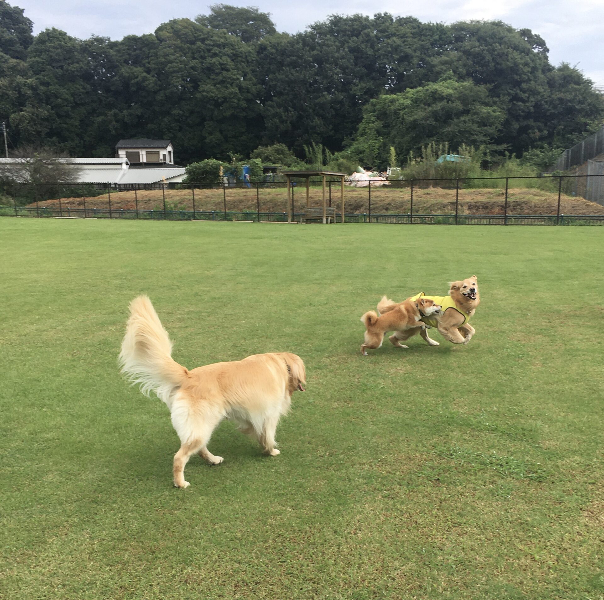 ファイル 8645-4.jpeg