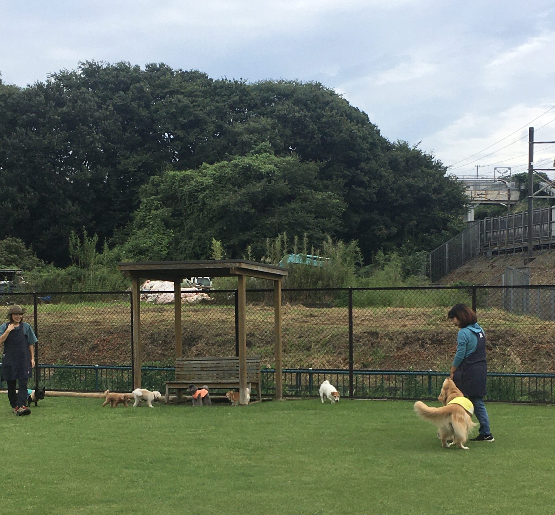 ファイル 8645-5.jpeg