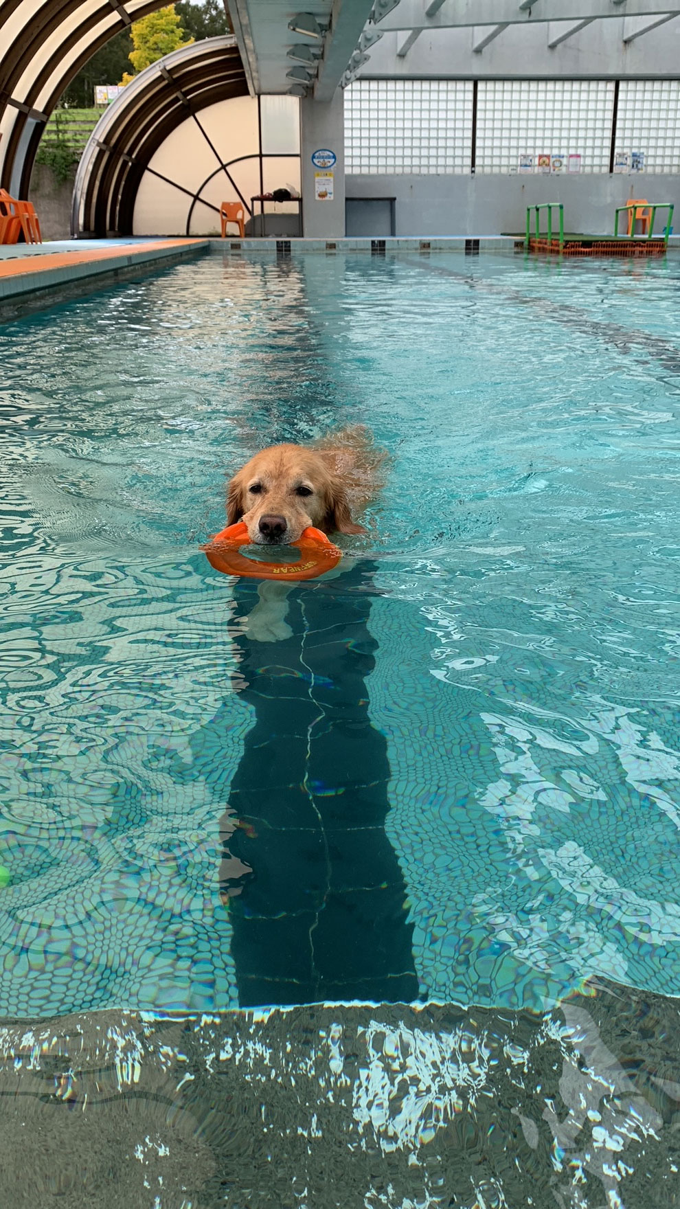 ファイル 8647-2.jpg