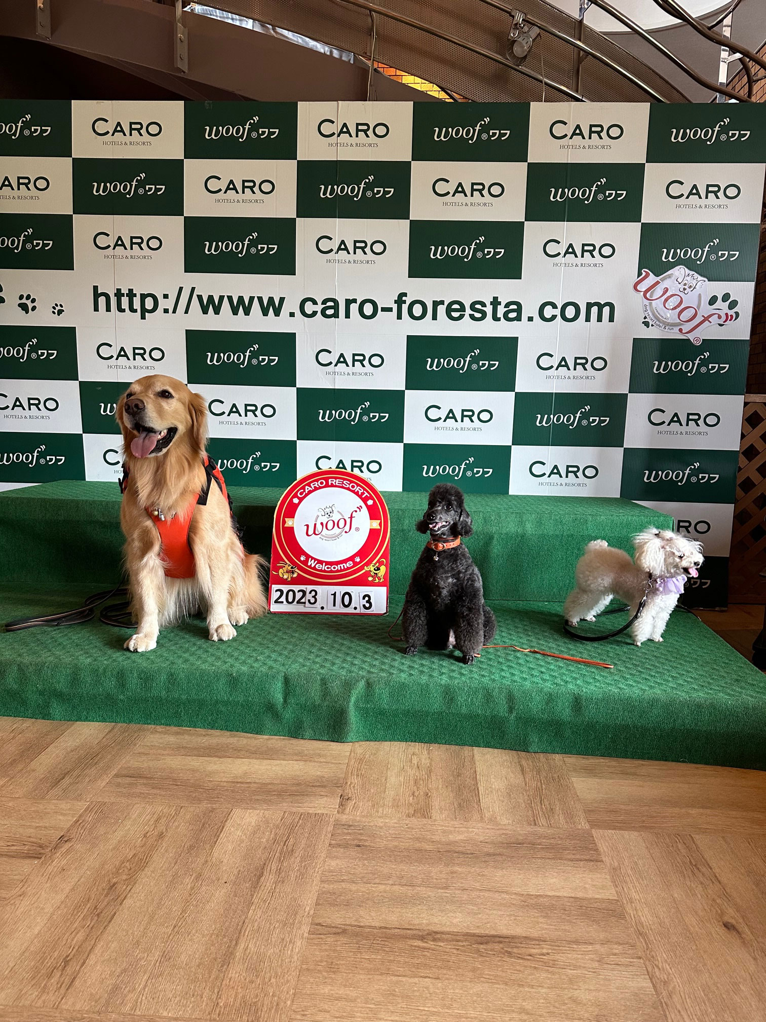 ファイル 8647-4.jpg