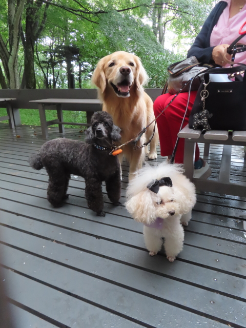 ファイル 8647-5.jpg