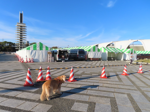 ファイル 8648-5.jpg