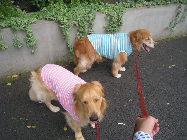 ファイル 865-1.jpg