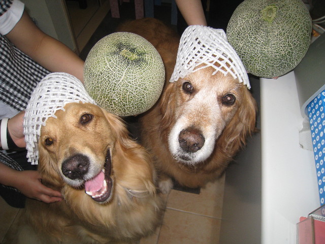 ファイル 865-3.jpg