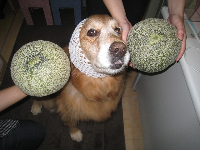 ファイル 865-4.jpg