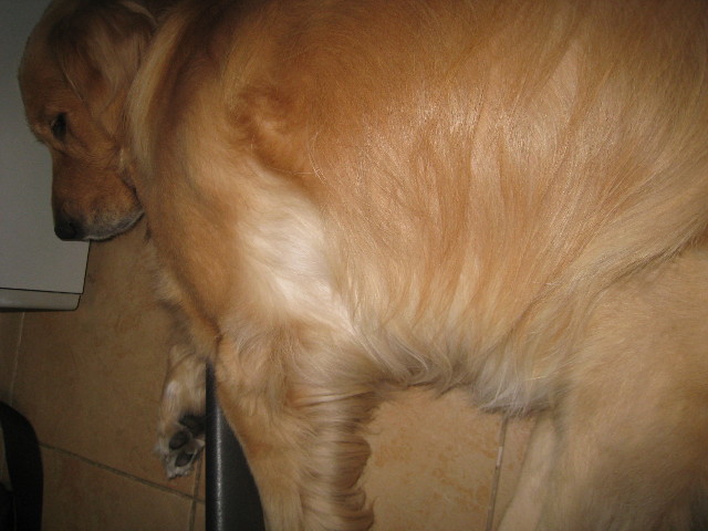 ファイル 865-5.jpg