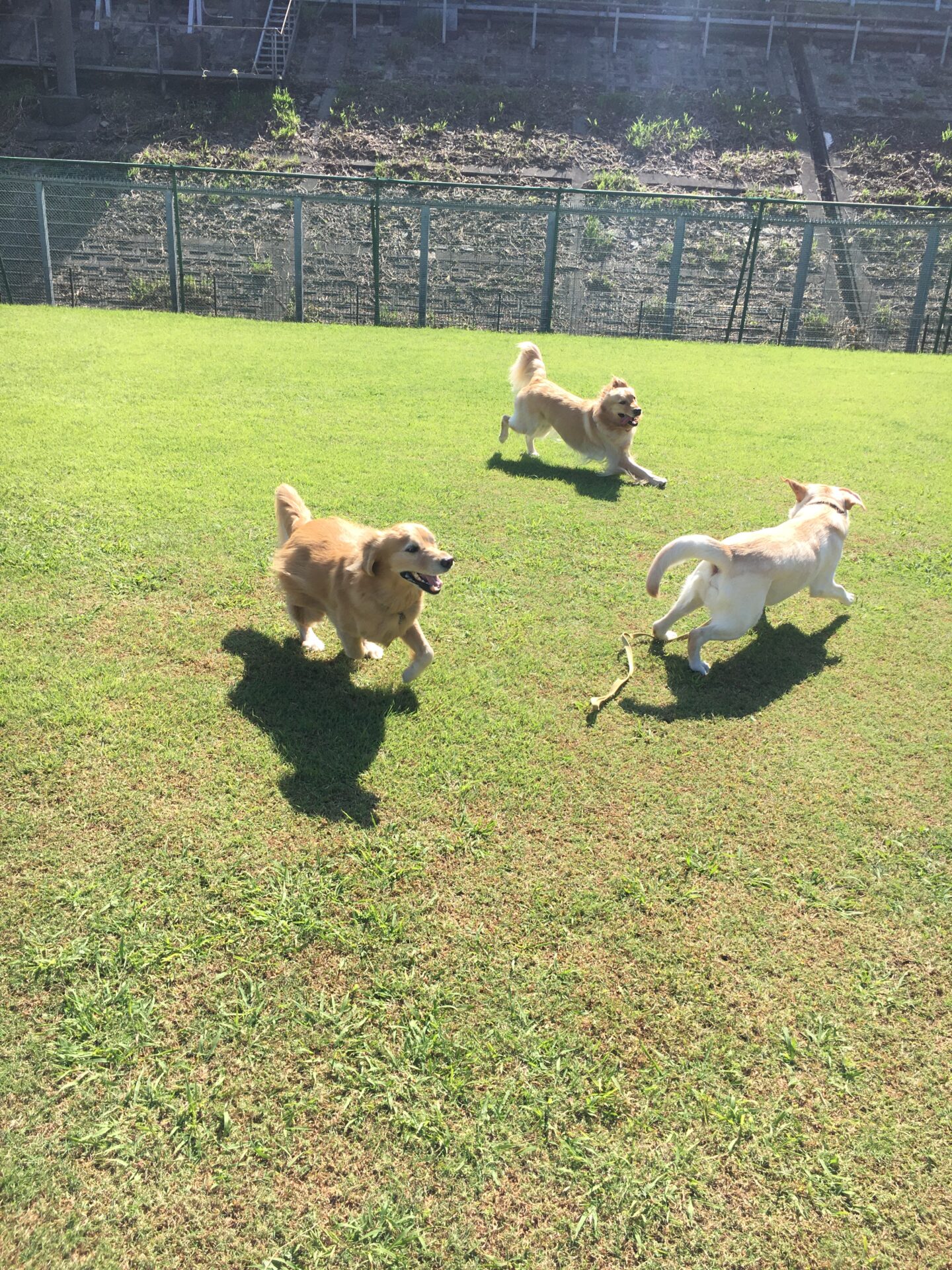 ファイル 8650-2.jpeg