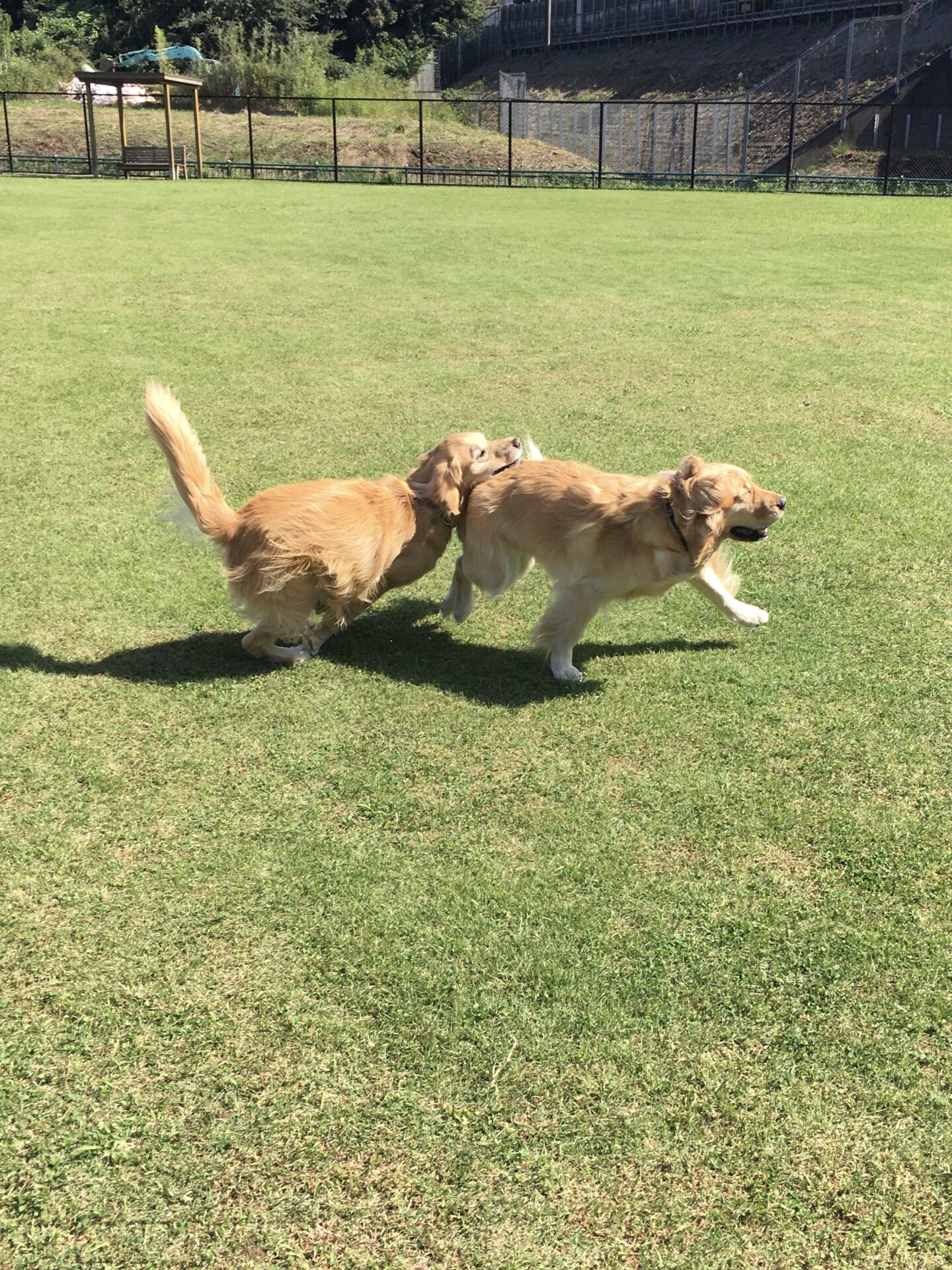 ファイル 8650-3.jpeg