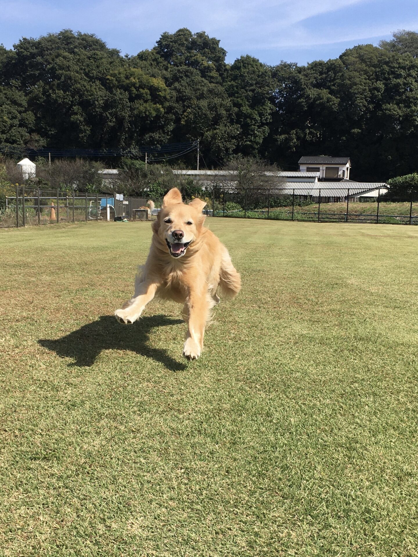 ファイル 8652-1.jpeg