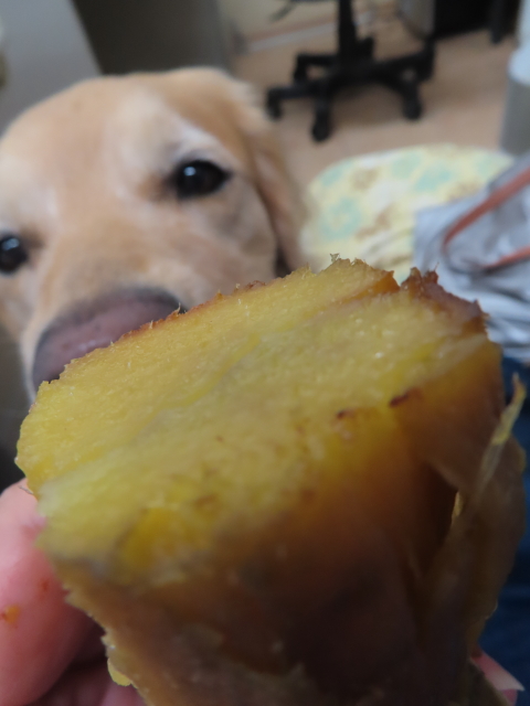 ファイル 8653-4.jpg