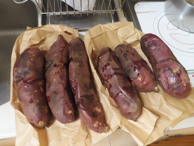 ファイル 8653-5.jpg