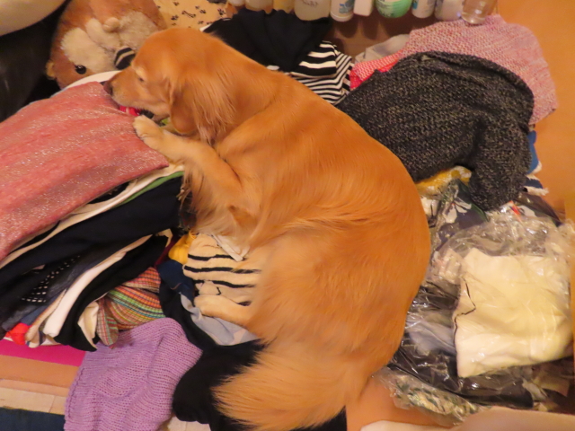 ファイル 8654-3.jpg