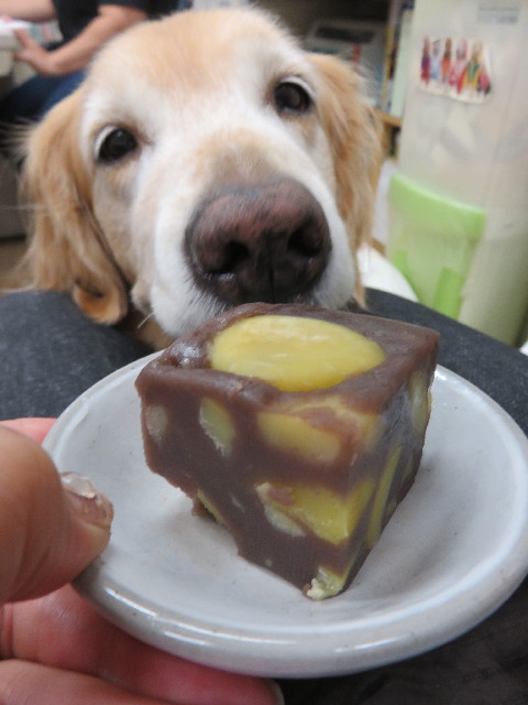 ファイル 8655-2.jpg