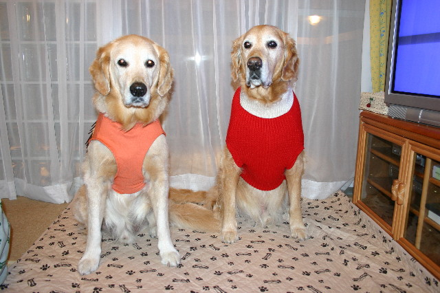 ファイル 8656-4.jpg