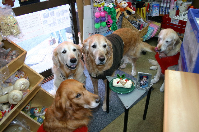 ファイル 8656-5.jpg