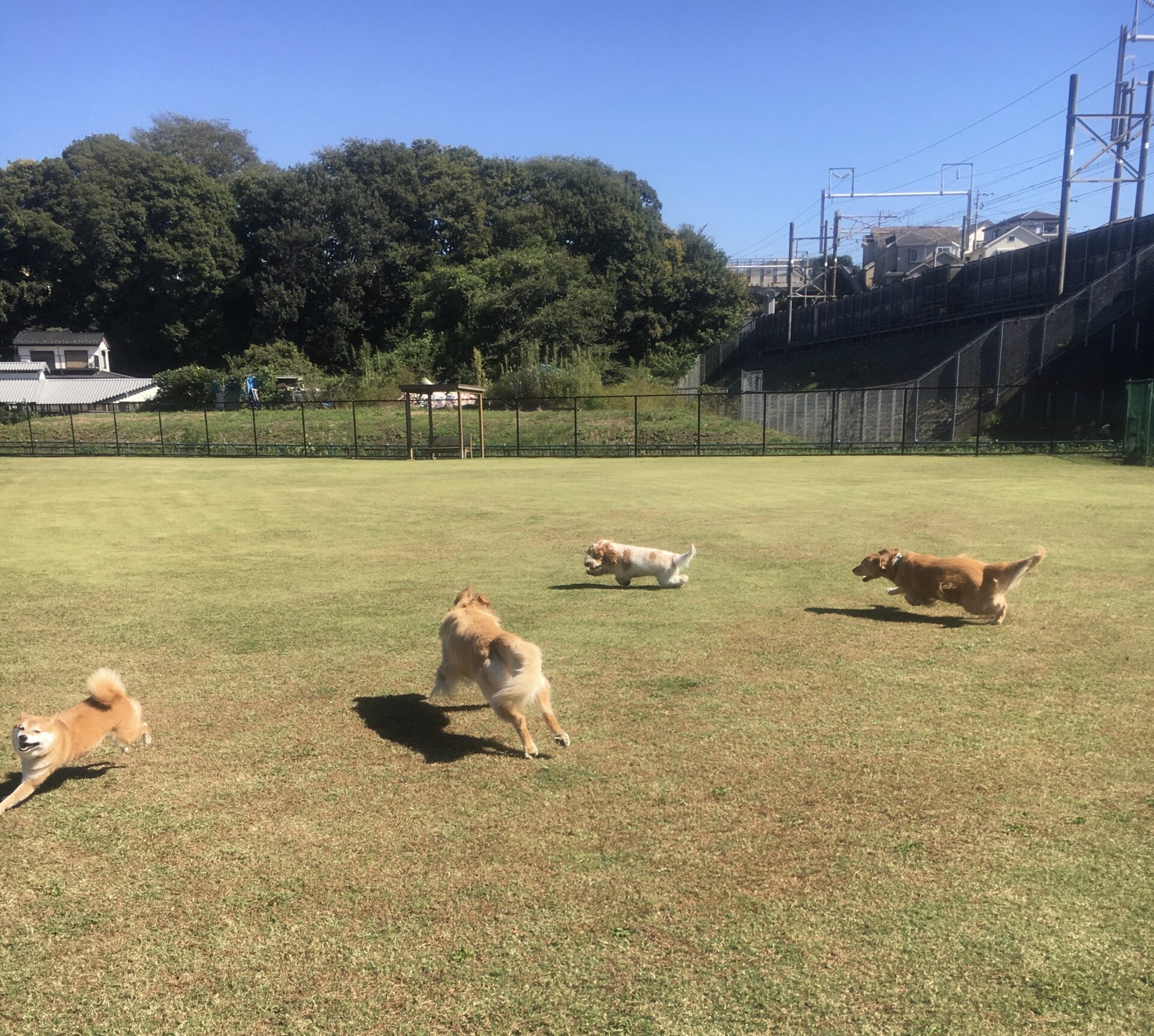 ファイル 8658-2.jpeg