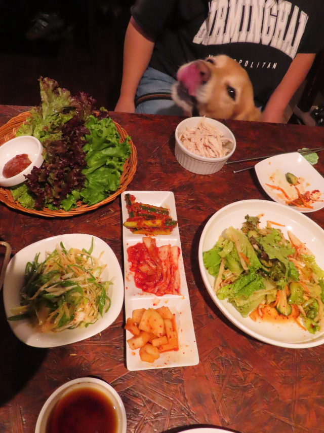 ファイル 8659-3.jpg