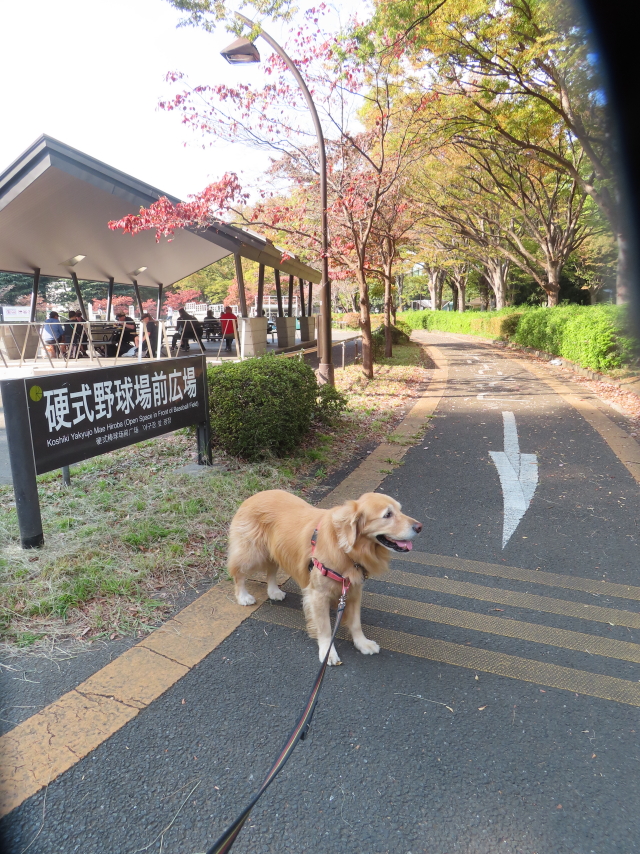 ファイル 8662-4.jpg