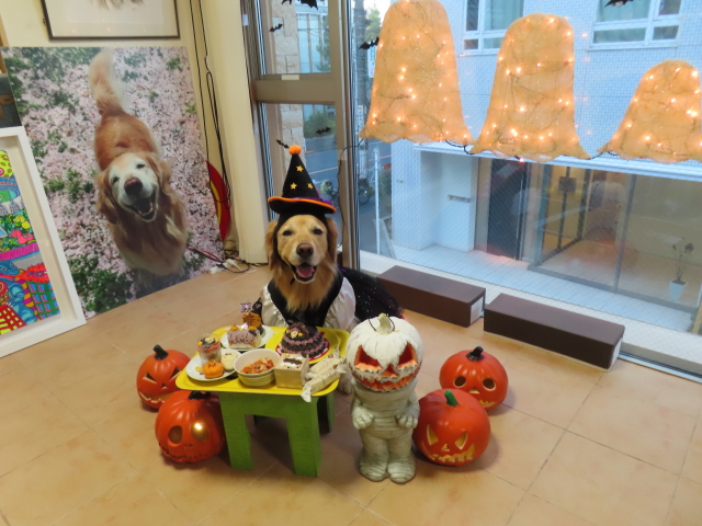 ファイル 8663-3.jpg