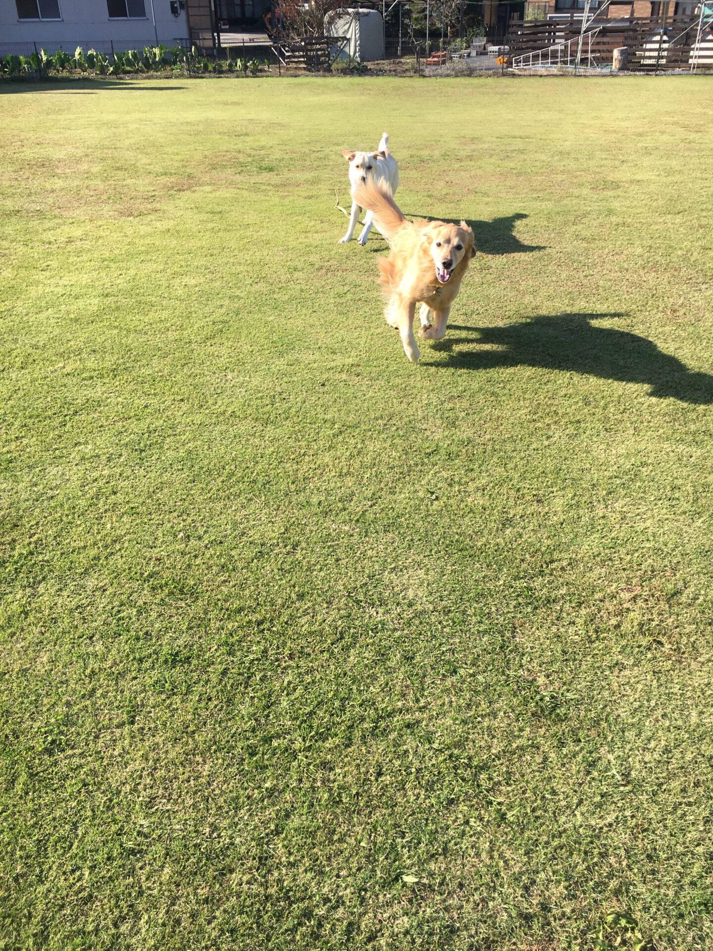 ファイル 8664-3.jpeg