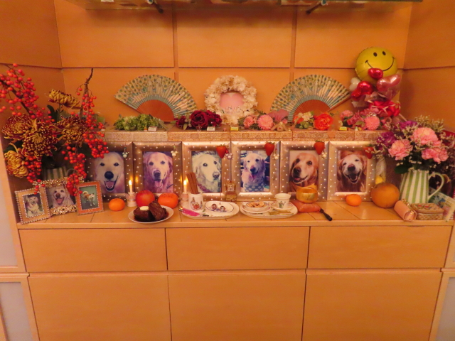 ファイル 8665-3.jpg