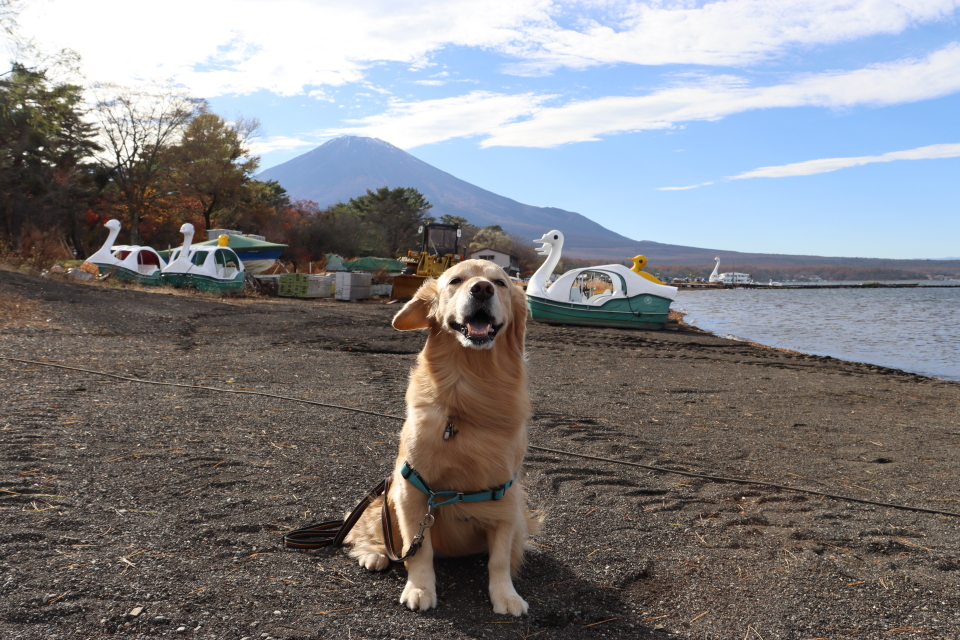 ファイル 8667-1.jpg