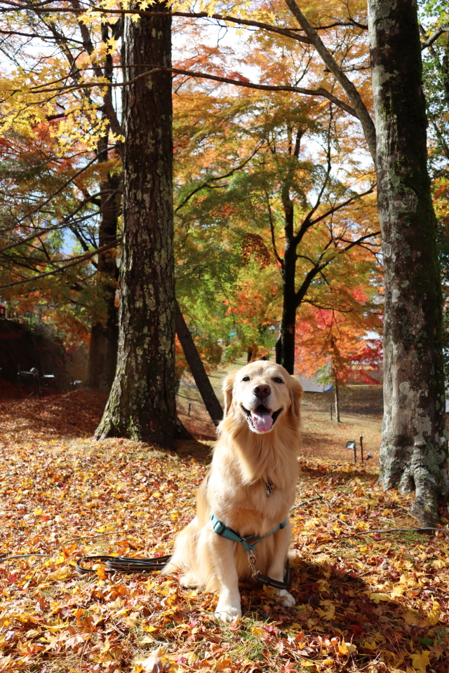 ファイル 8667-4.jpg