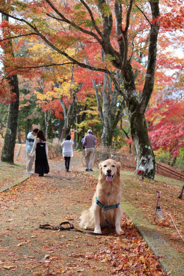 ファイル 8667-5.jpg