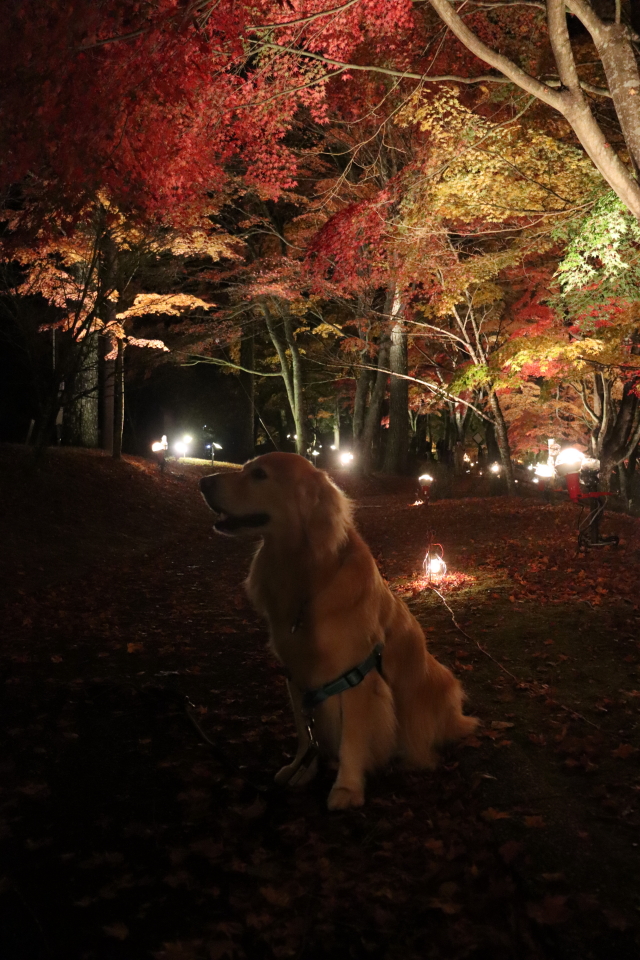 ファイル 8669-3.jpg