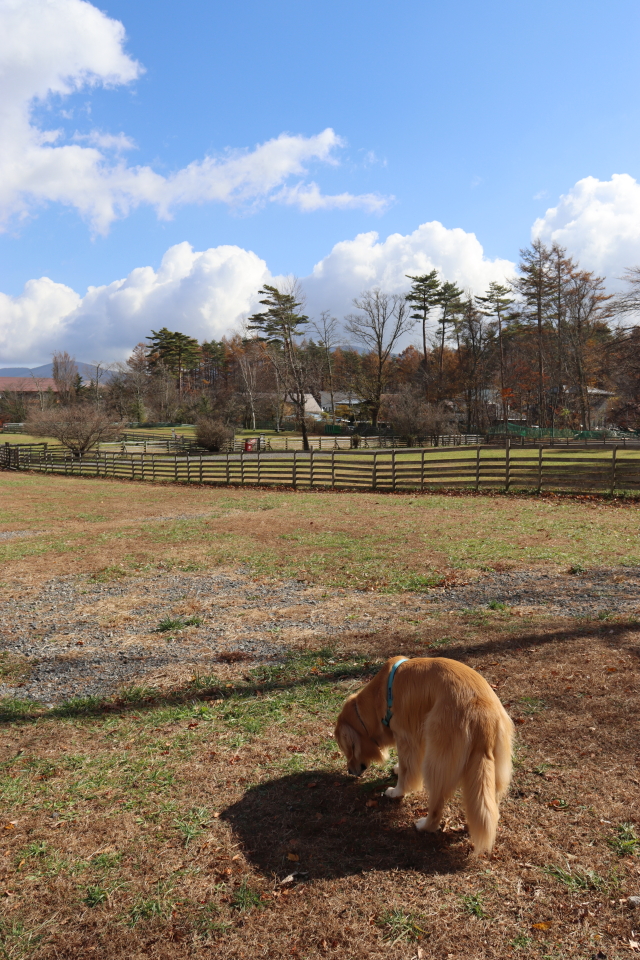 ファイル 8670-3.jpg