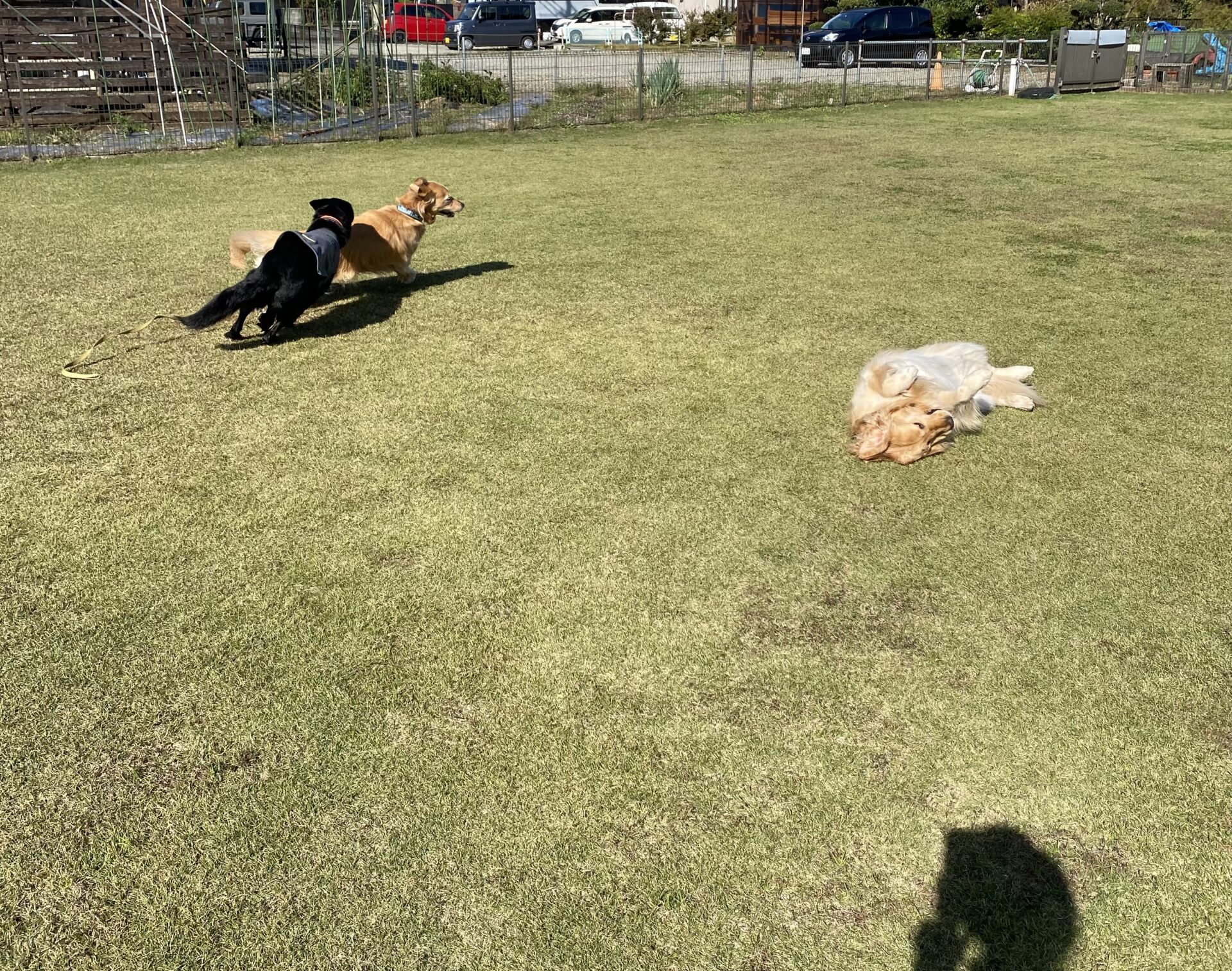 ファイル 8673-4.jpeg