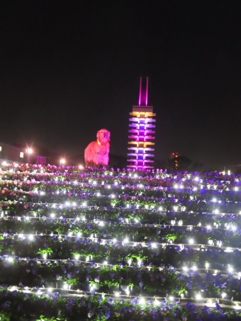 ファイル 8674-3.jpg