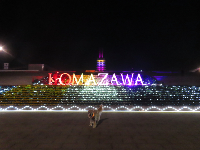 ファイル 8674-5.jpg