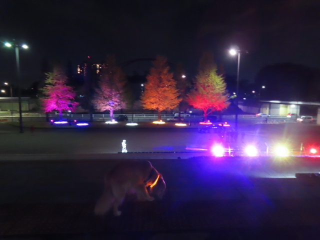 ファイル 8675-2.jpg