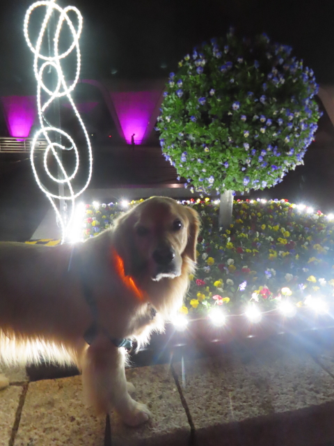 ファイル 8675-4.jpg