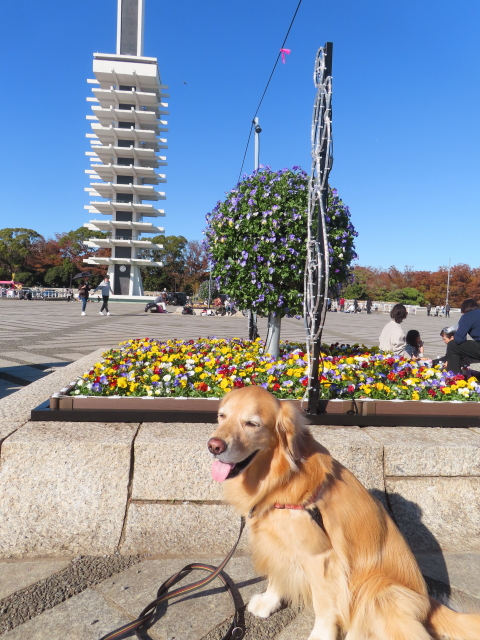 ファイル 8676-5.jpg