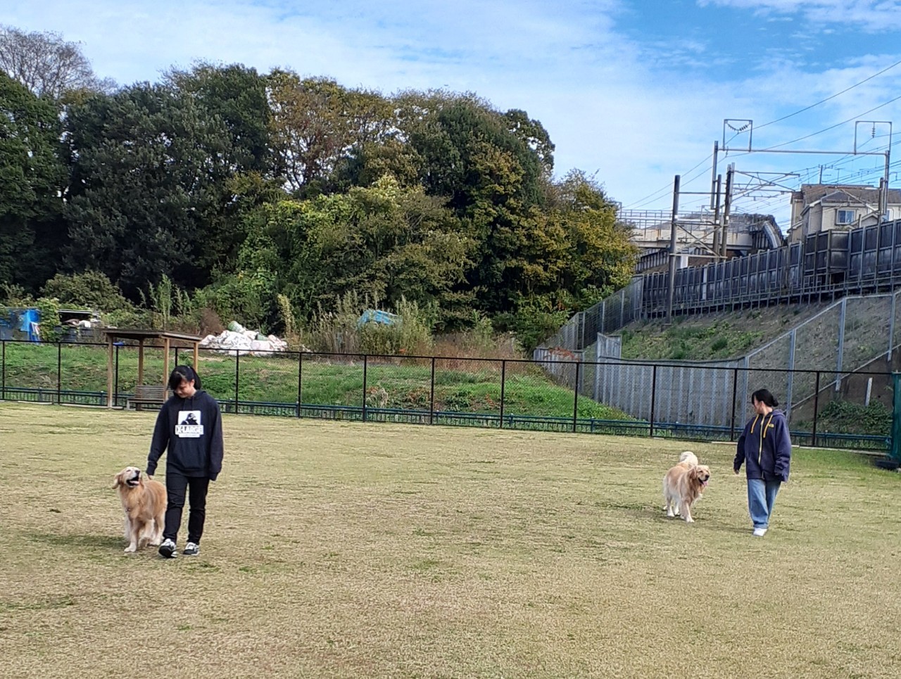 ファイル 8678-2.jpeg