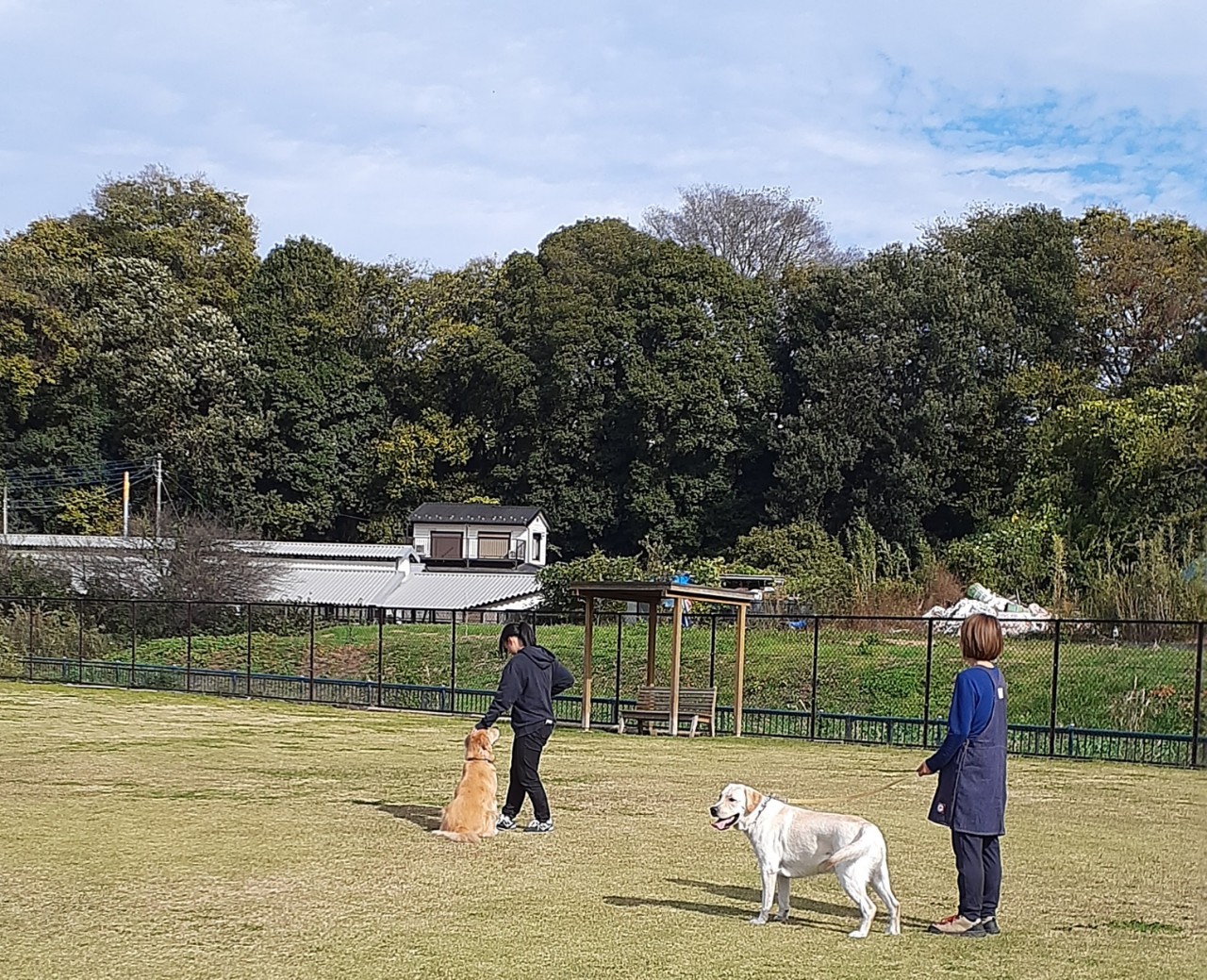 ファイル 8678-3.jpeg