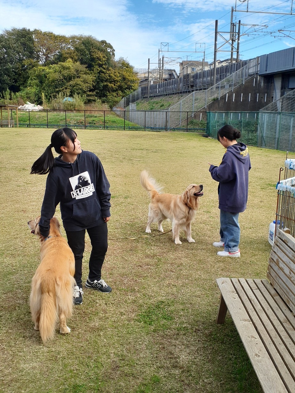 ファイル 8678-4.jpeg