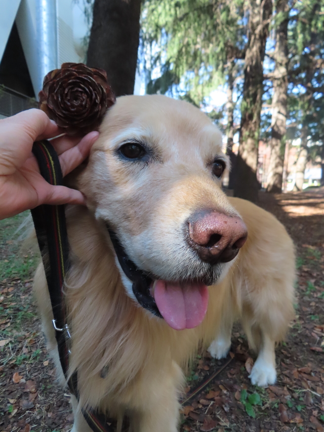 ファイル 8679-2.jpg