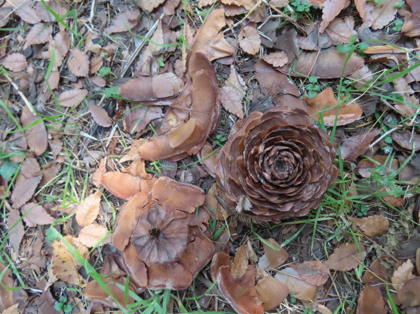 ファイル 8679-3.jpg