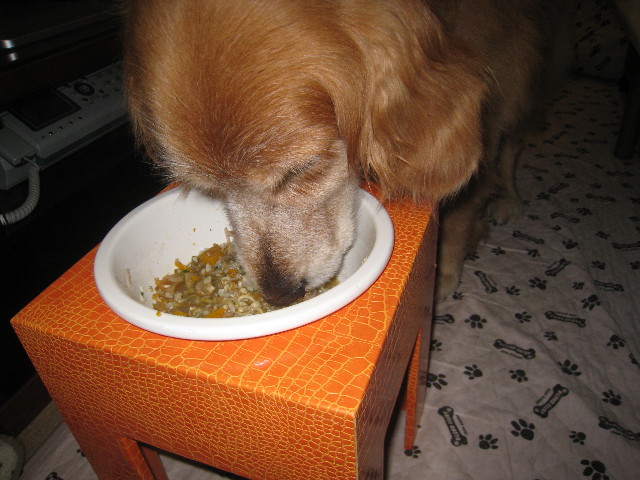 ファイル 868-2.jpg