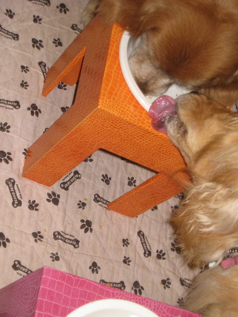 ファイル 868-5.jpg