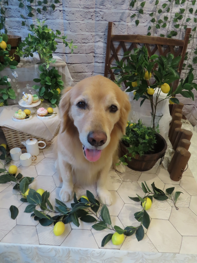 ファイル 8680-2.jpg